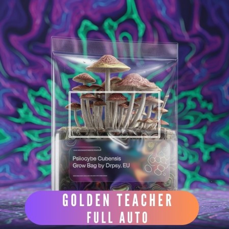 Golden Teacher Full Auto growbag - XXL - 3500 cc ( algajatele)
