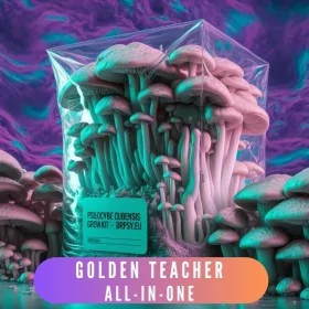 Golden Teacher kweekset - Alles-in-één - onderhoudsvrij