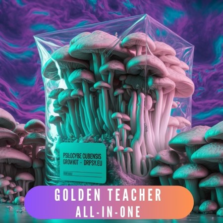 Golden Teacher growkit - Vse v enem - brez vzdrževanja