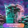 Golden Teacher growkit – All-In-One - bezobsługowy