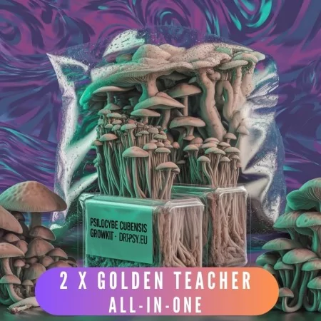 Golden Teacher growkit - zestaw (2 szt.) – All-In-One - bezobsługowy