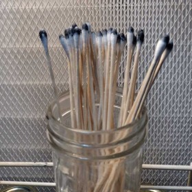 Fungal spores MVP - applicator