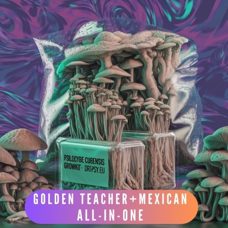 Growkit Golden Teacher + Mexican - set (2 pcs.) -Todo-en-Uno