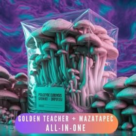 Growkit komplekts Zelta skolotājs + Mazatapec - (2 gab.) Viss vienā komplektā