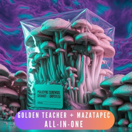 Growkit-sæt Golden Teacher + Mazatapec- (2 stk.) Alt-i-en