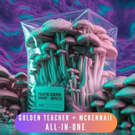 Golden Teacher + McKennaii - divi komplekti par zemāku cenu