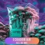 Súprava Growkit Ecuadorian All-in-One