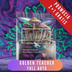 Growkit 2+1 Gratis - Golden Teacher Full Auto kweekzak - XXL - 3500 cc ( voor beginners)