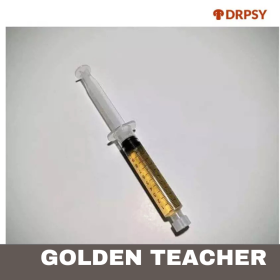 Golden Teacher LC | 2 + 1 Free | Promotion