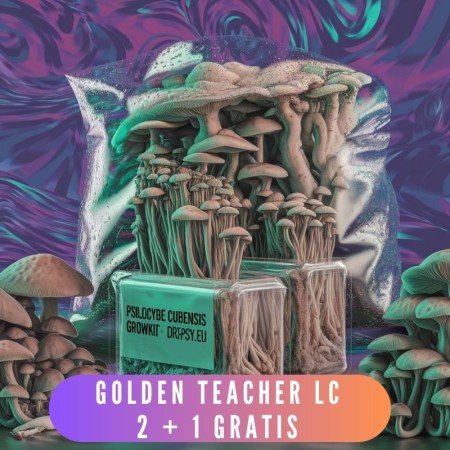 Golden Teacher LC | 2 + 1 Grátis | Promoção
