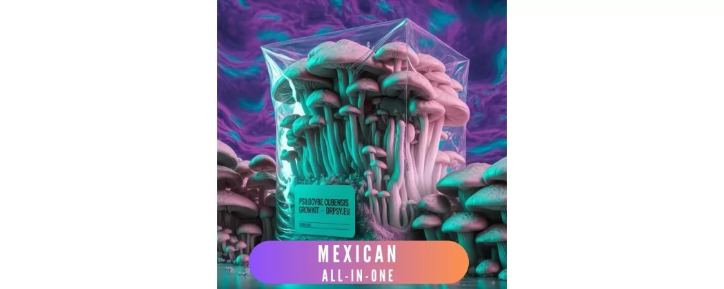 Meksikas sēņu komplekti: Sēnes: jūsu ceļš uz aizraujošu pasauli