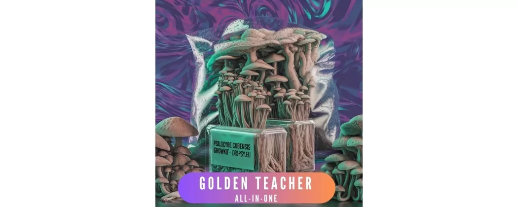 Golden Teacher growkit - find ud af, hvad et growkit er, og hvor man kan købe et?