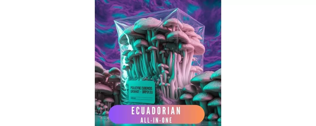 Ekvádorské mycelium Growkits: kompletní výzkumná sada