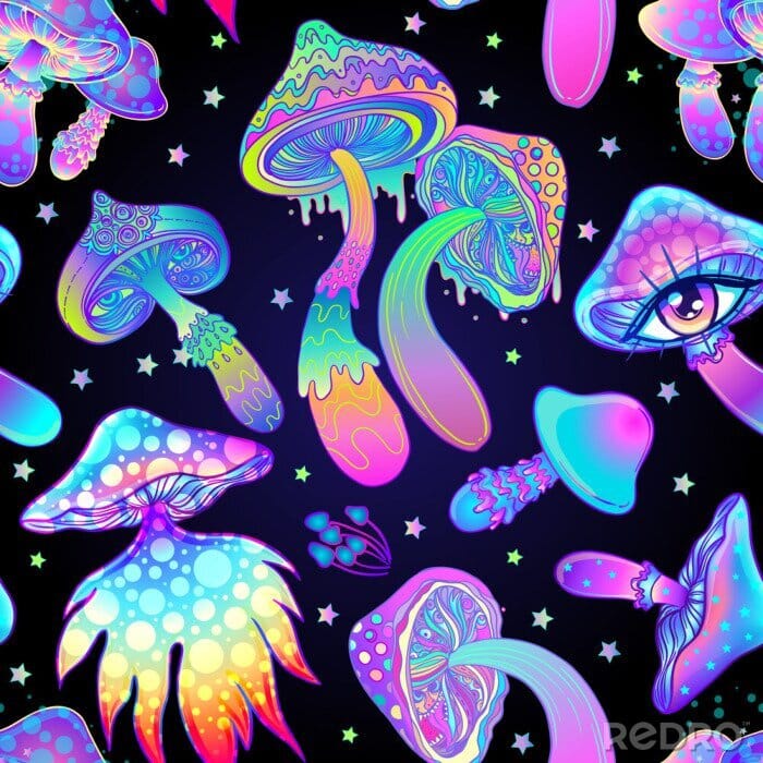 6 poziomów podróży po magicznych grzybach, o których powinieneś wiedzieć