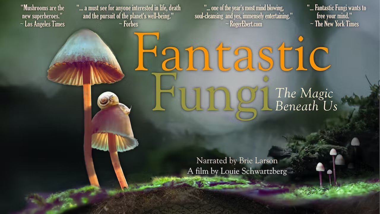 FANTASTIC FUNGI RECENZJA FILMU