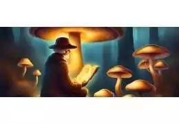 "Mazatapec: Fascynująca historia, pochodzenie i niezwykłe właściwości grzybów"